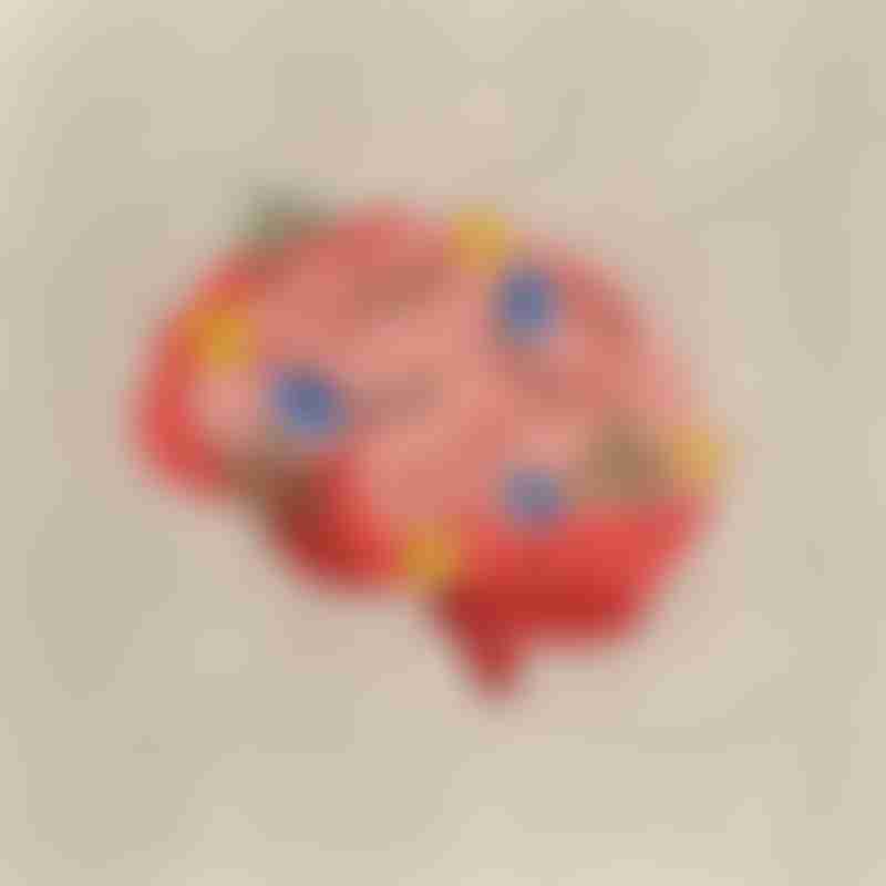 Emotions Optimism 3