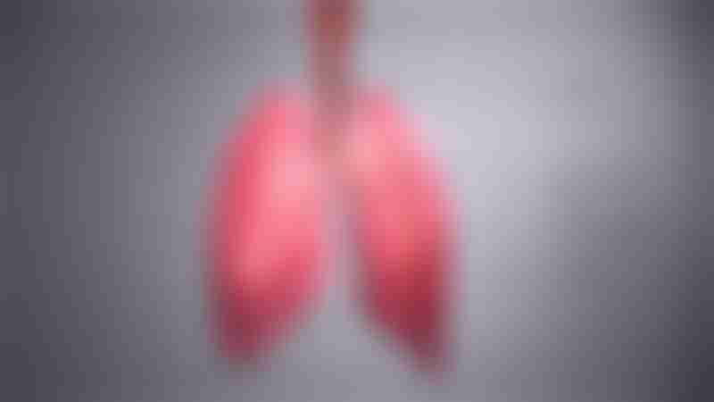 3D Medical Animation Bronchus Description