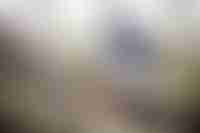 Elderly Lady Getting Chemotherapy