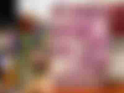 Colleen Hoover's best-selling book, It Ends with Us.