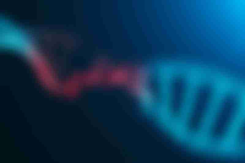Gastric Cancer Risk in Lynch Syndrome
