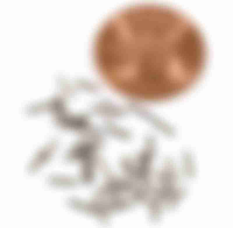 Brachytherapy Seed Size