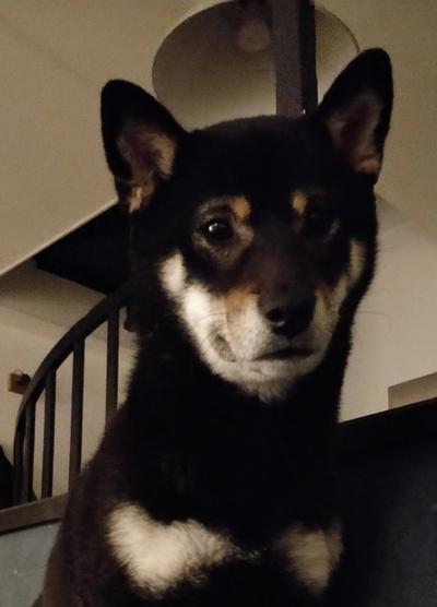 Taka