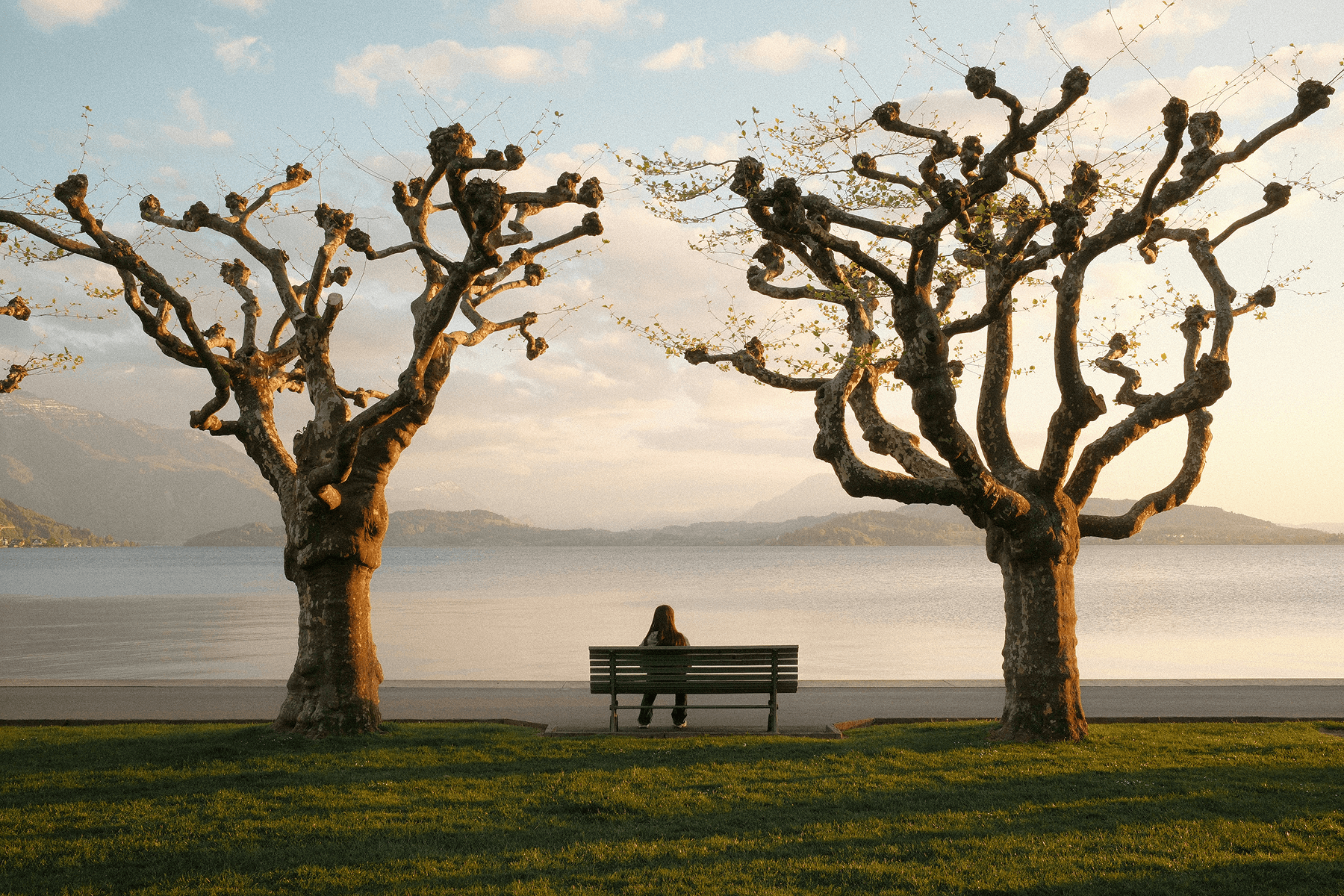 A solitary person sitting on a park bench between two bare trees, gazing out over a calm lake with mountains in the distance at golden hour.
