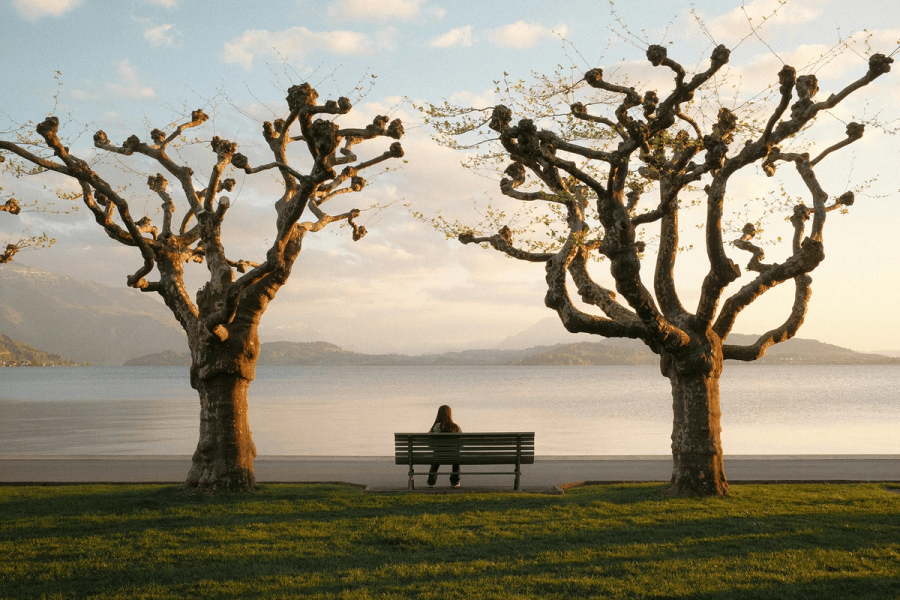 A solitary person sitting on a park bench between two bare trees, gazing out over a calm lake with mountains in the distance at golden hour.