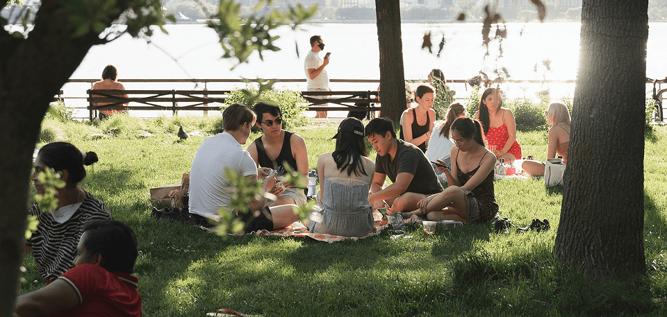 sowfund-people-gathered-for-picnic
