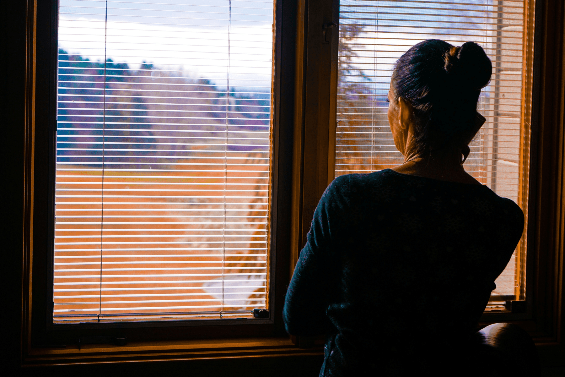 A woman seen from behind, standing alone in a dimly lit room looking out through window blinds at an autumn landscape.