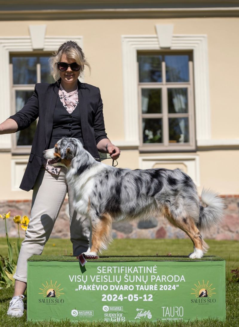 Apie veislę nuotrauka