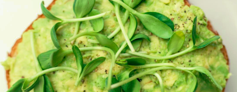 Avocado toast with microgreens