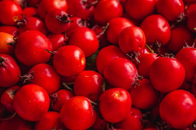 hawthorn berries