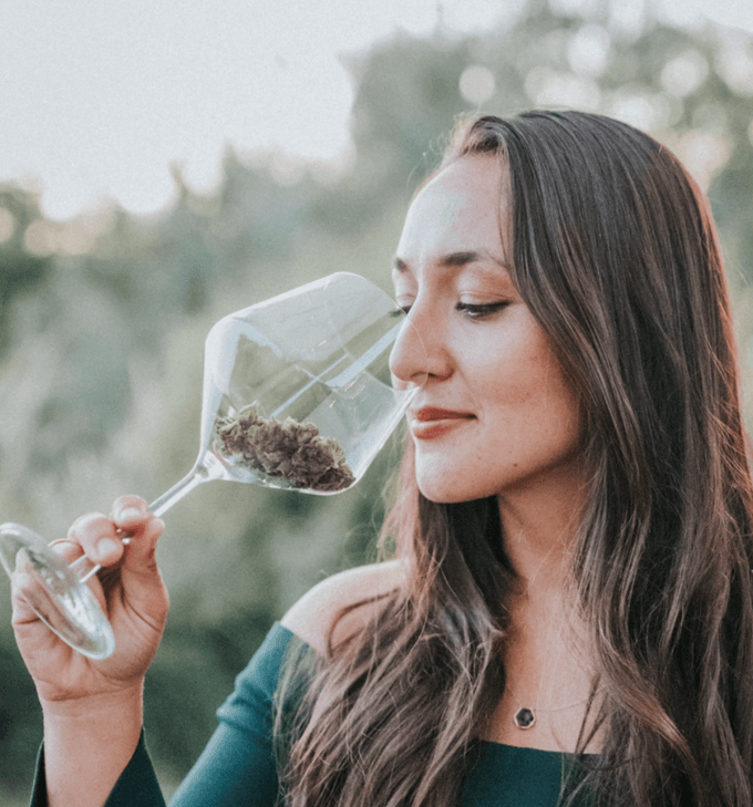 Understanding Cannabis Terpenes