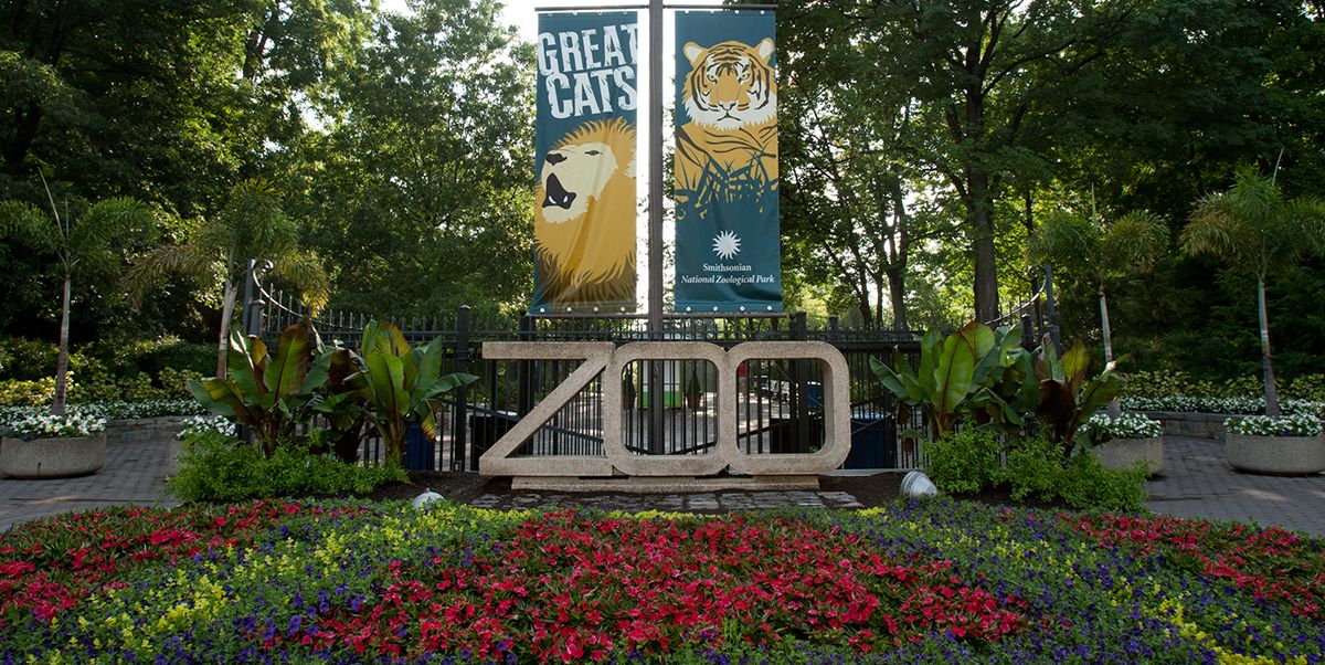 Building & Designs for a D.C. Oasis: An Architectural Tour of the National Zoo