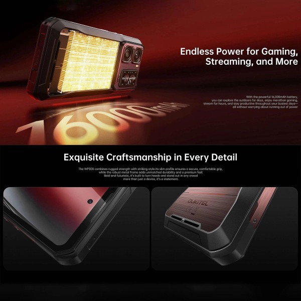 WP300 - View 7