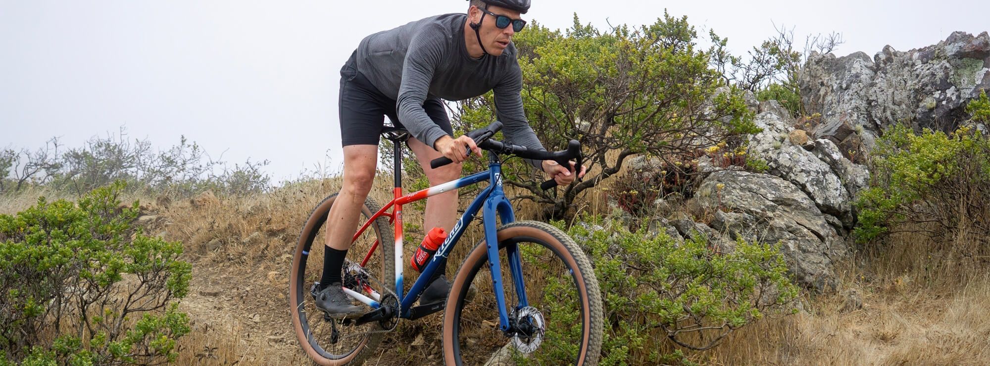 Ritchey P-29er Team Edition