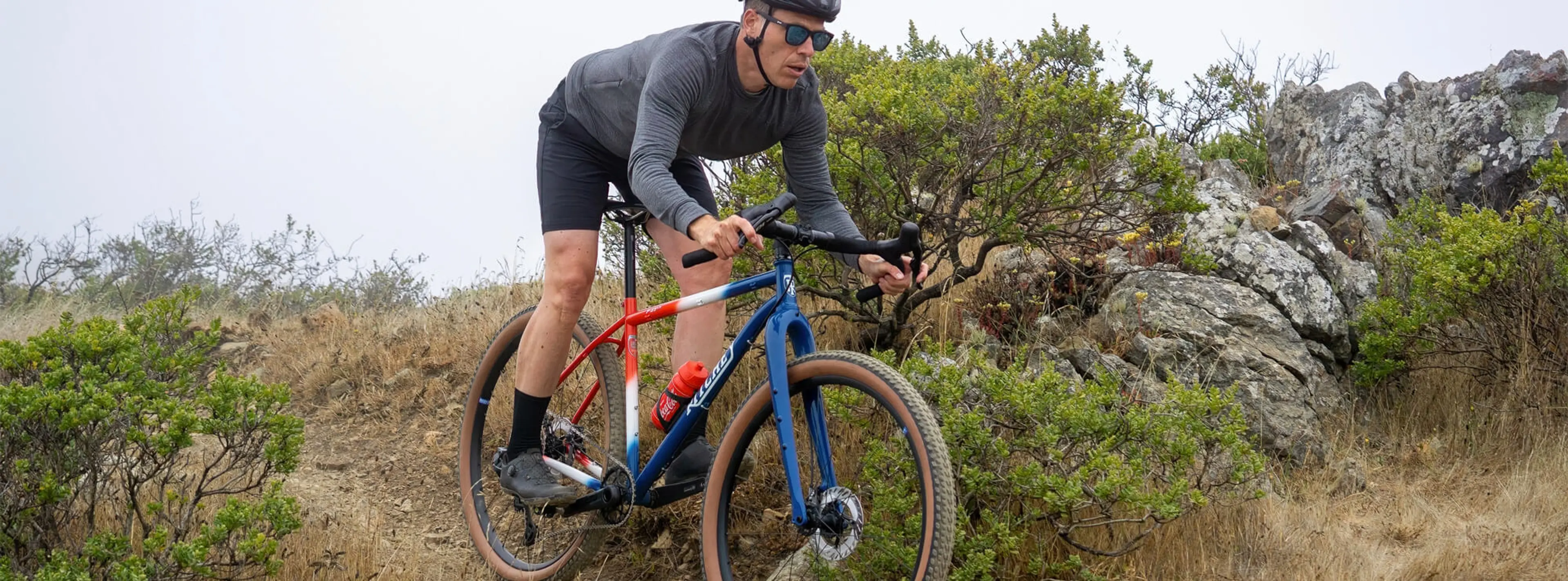 Ritchey P-29er Team Edition