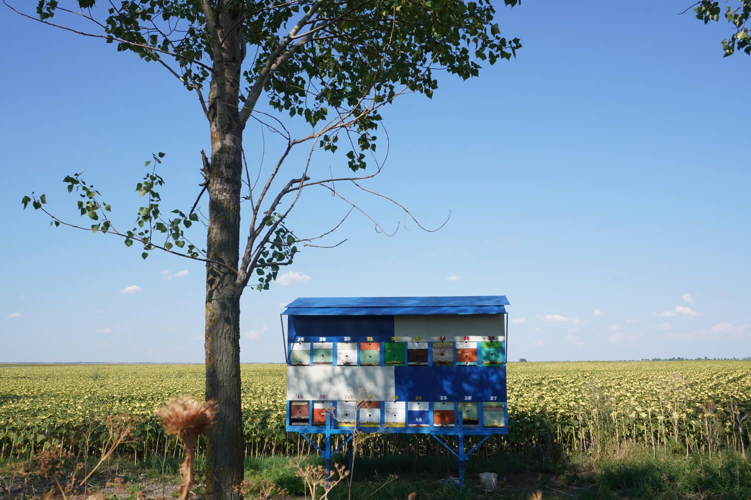 Liam Crozier Europe to Asia