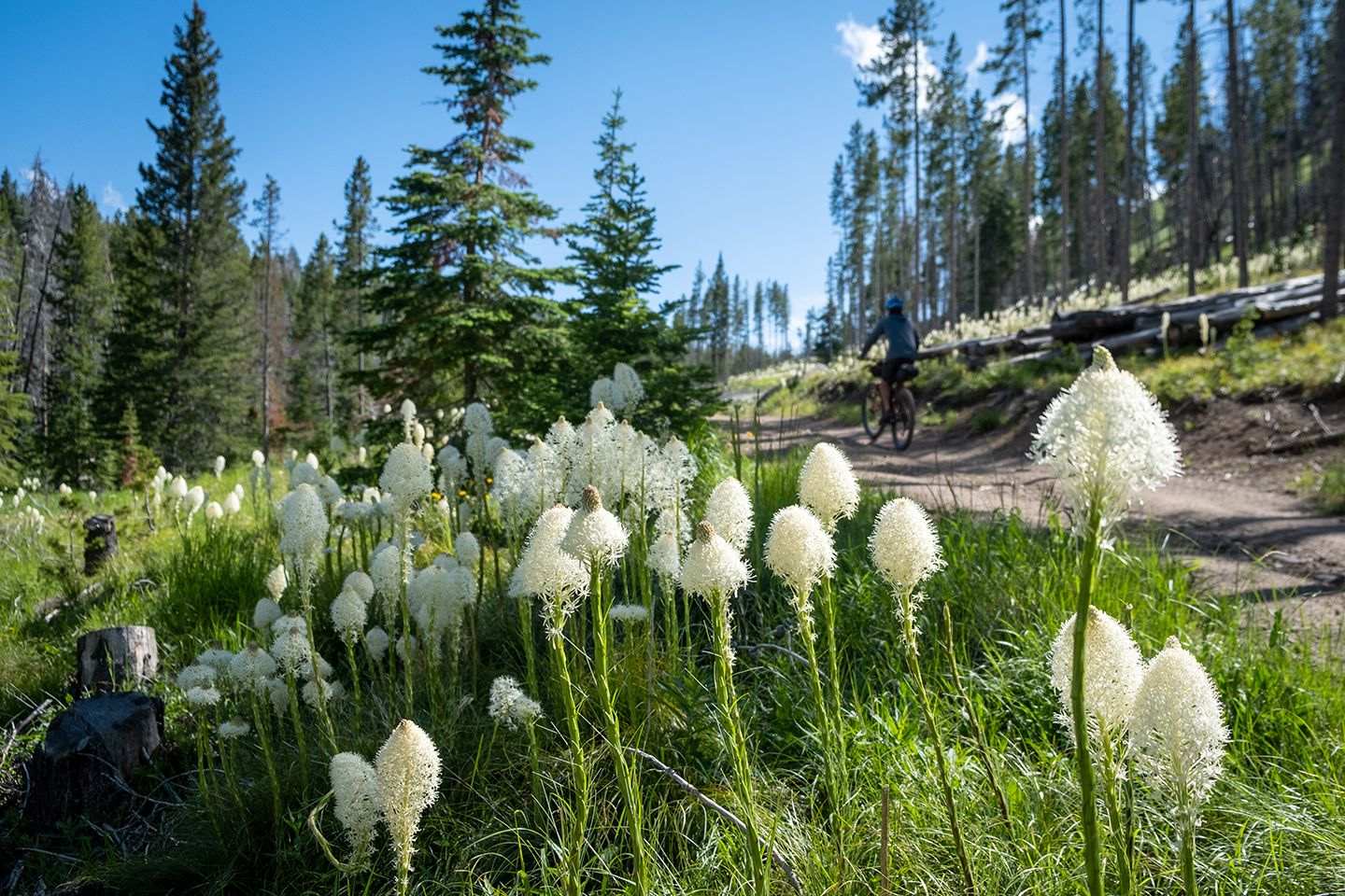 Getting Lost on the Ritchey Ascent