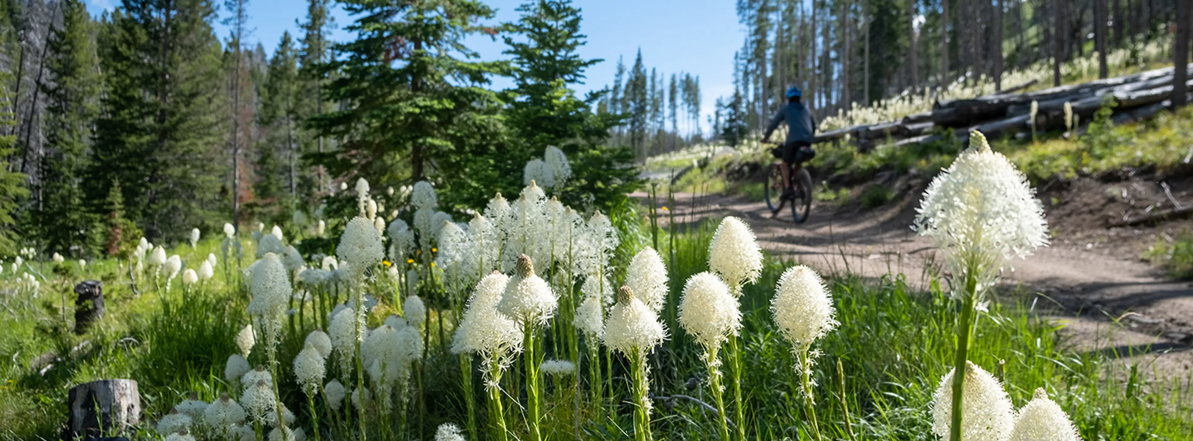 Getting Lost on the Ritchey Ascent
