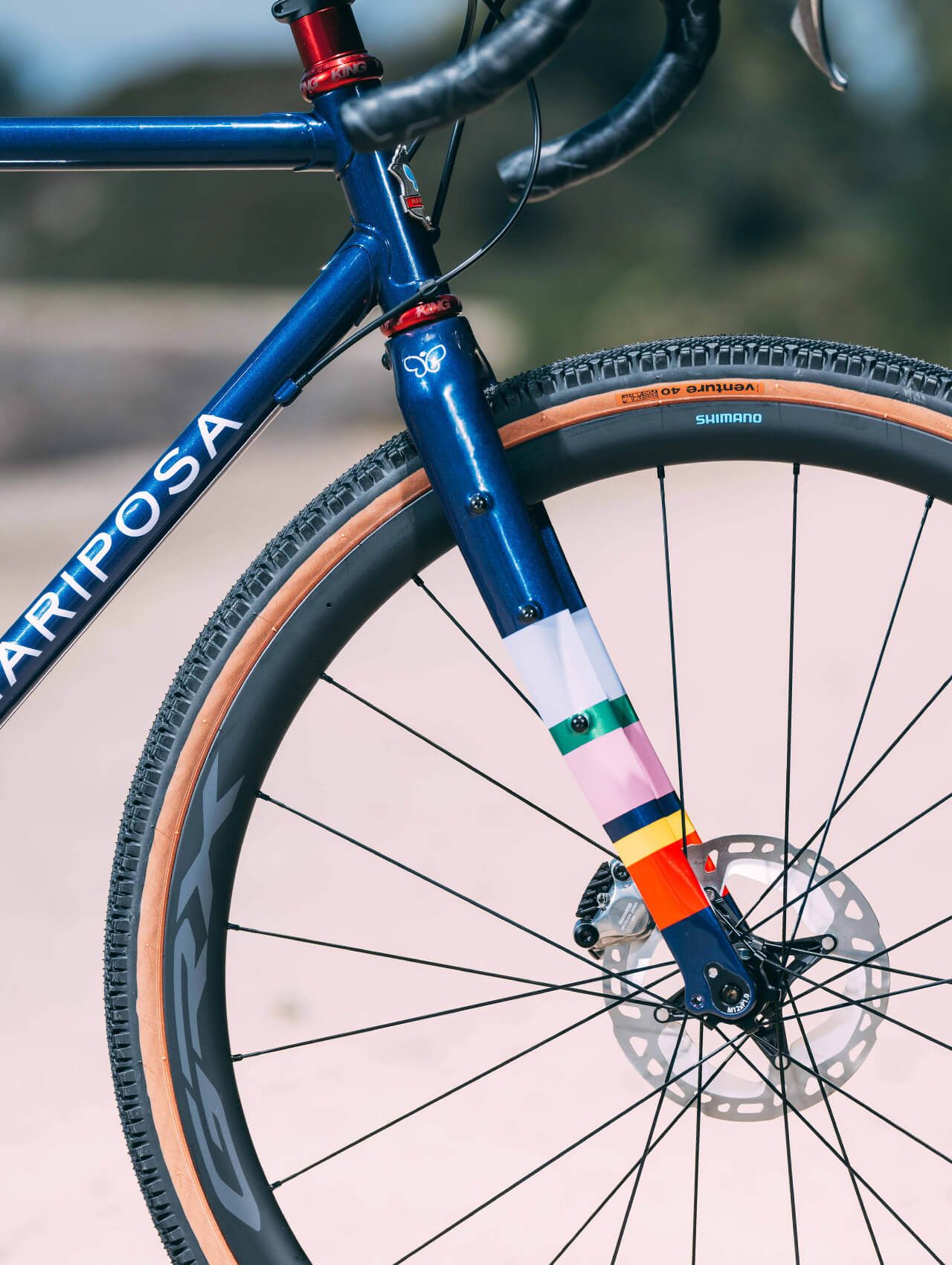 Mariposa bike with Ritchey fork
