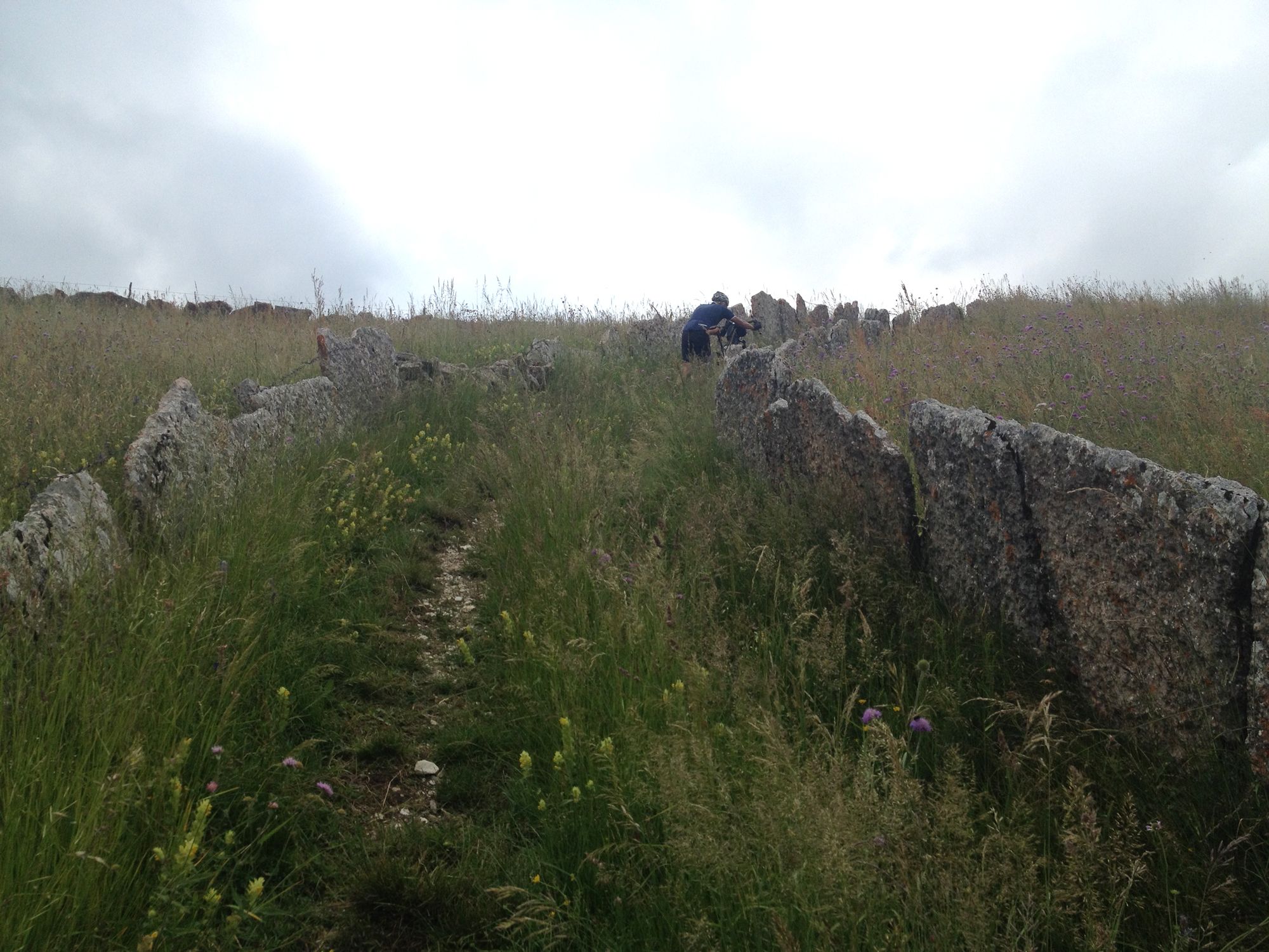 Singletrack is Gravel Too - Ritchey
