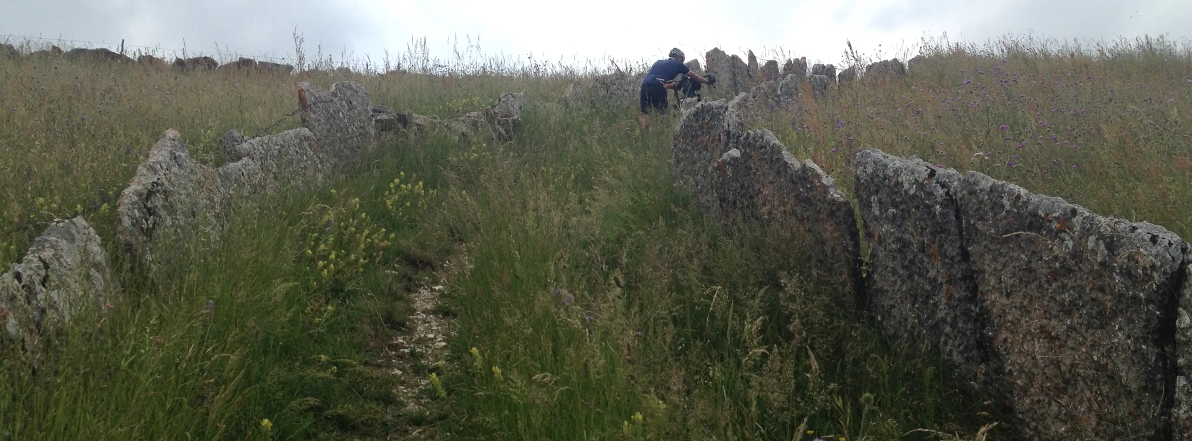 Singletrack is Gravel Too - Ritchey