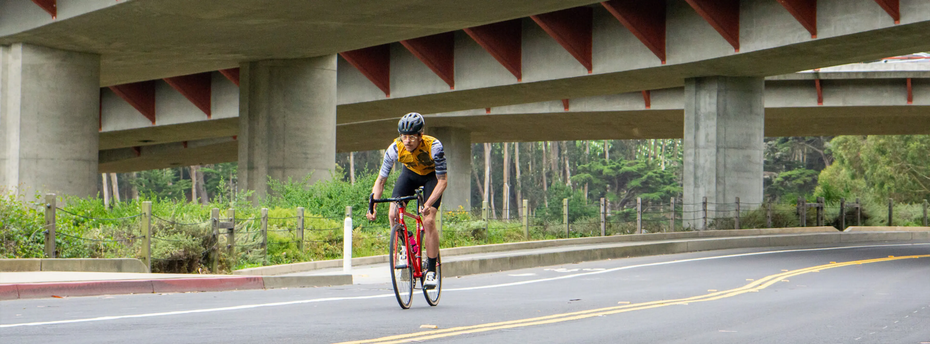 Ritchey Road Logic Signature Edition Frameset
