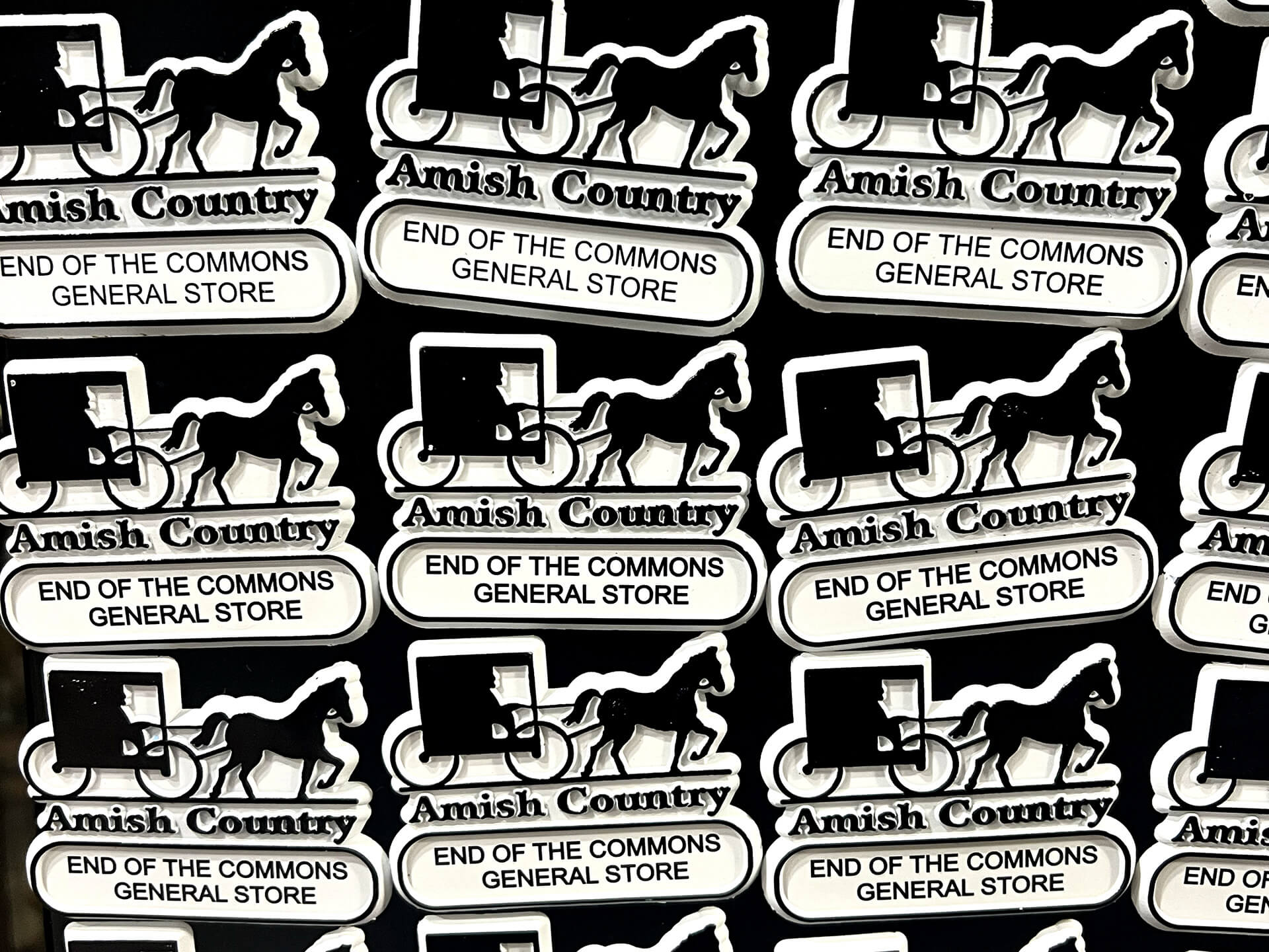 Vegan Tacos in Amish Country