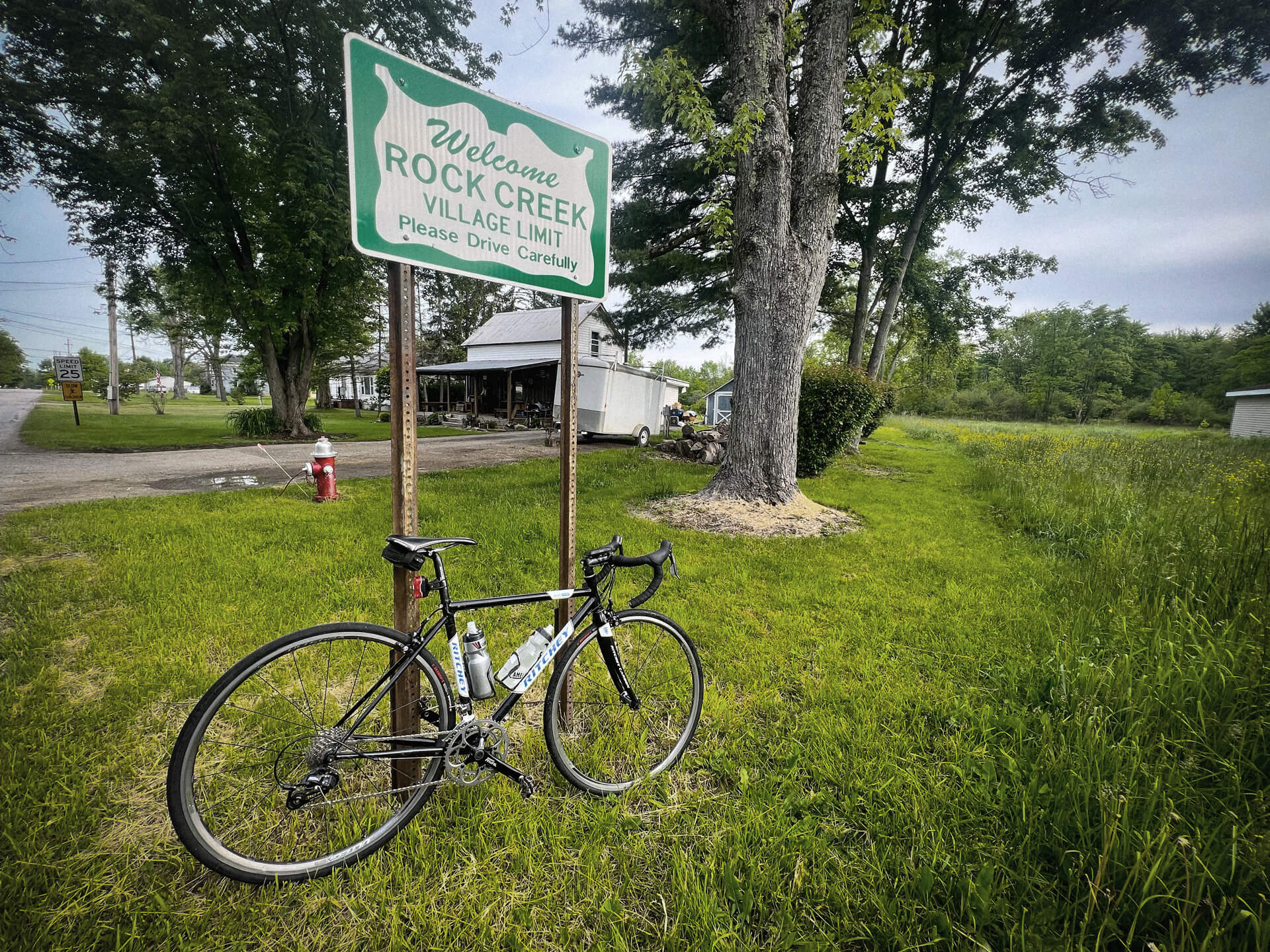 Vegan Tacos in Amish Country
