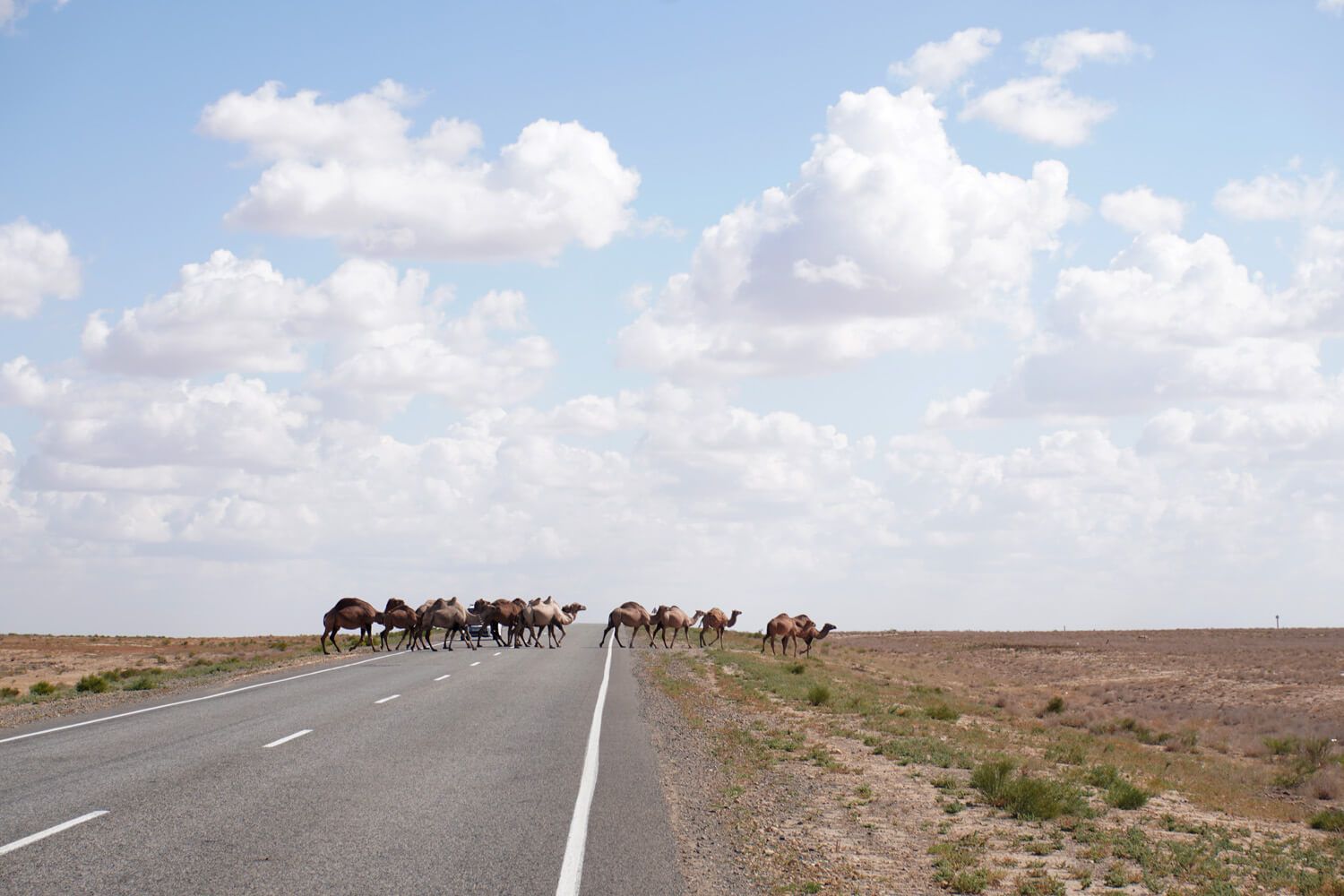 Liam Crozier Europe to Asia