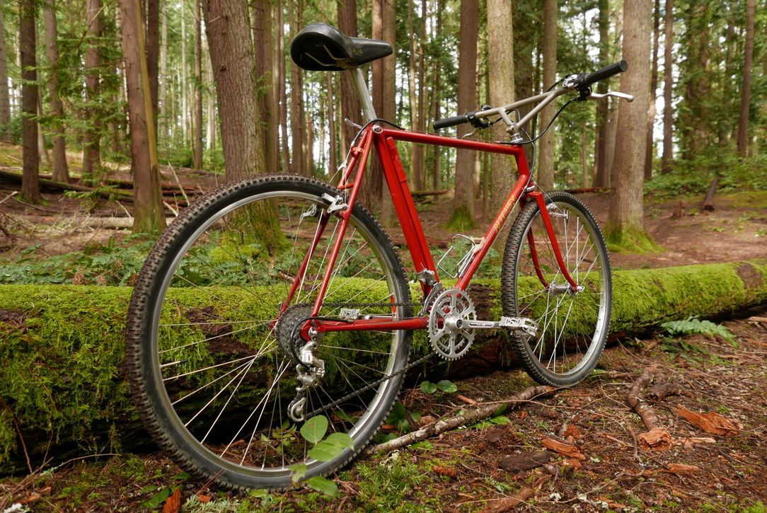 Vintage ritchey mountain cheap bike