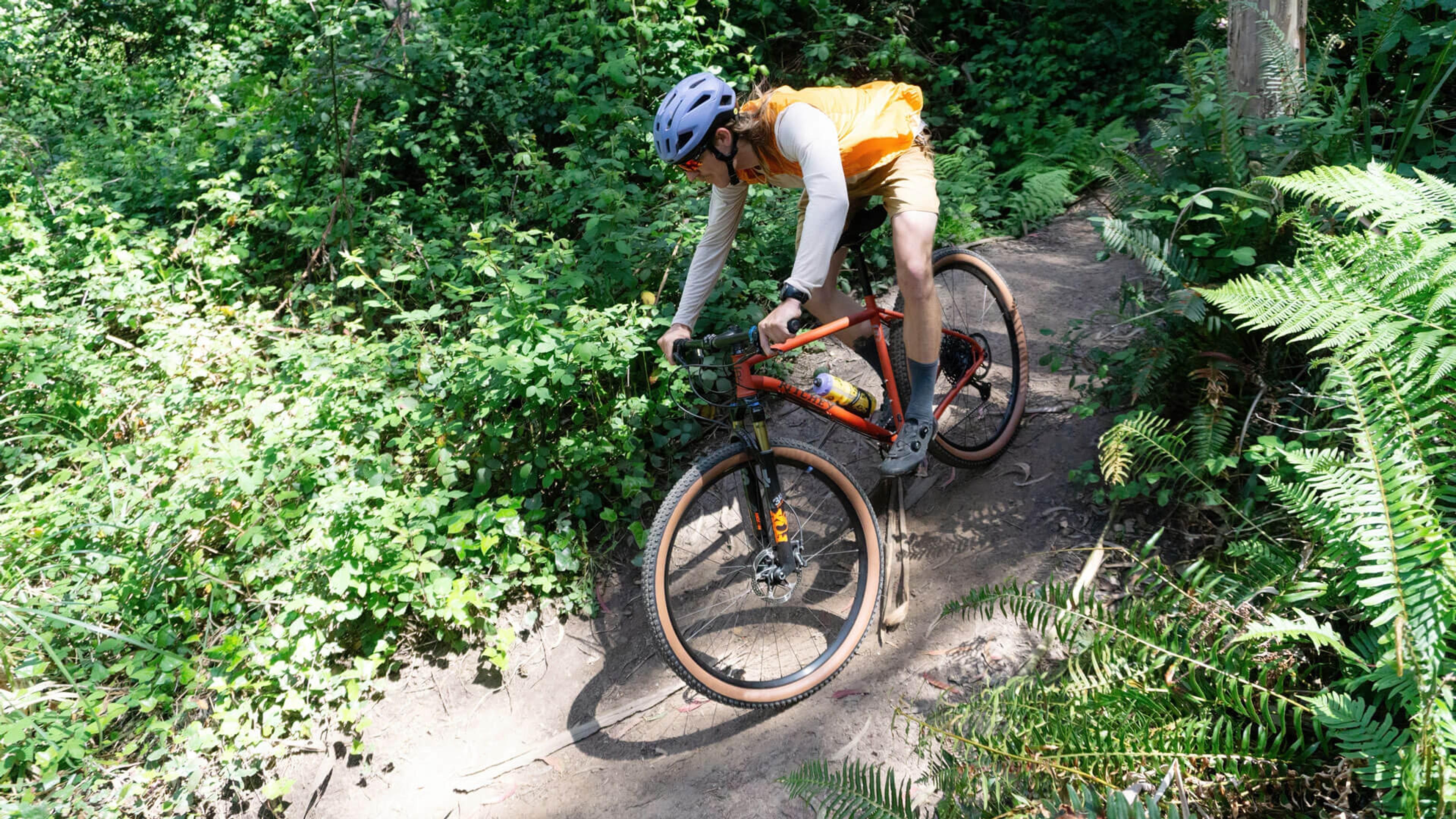P-29er Mountain Bike