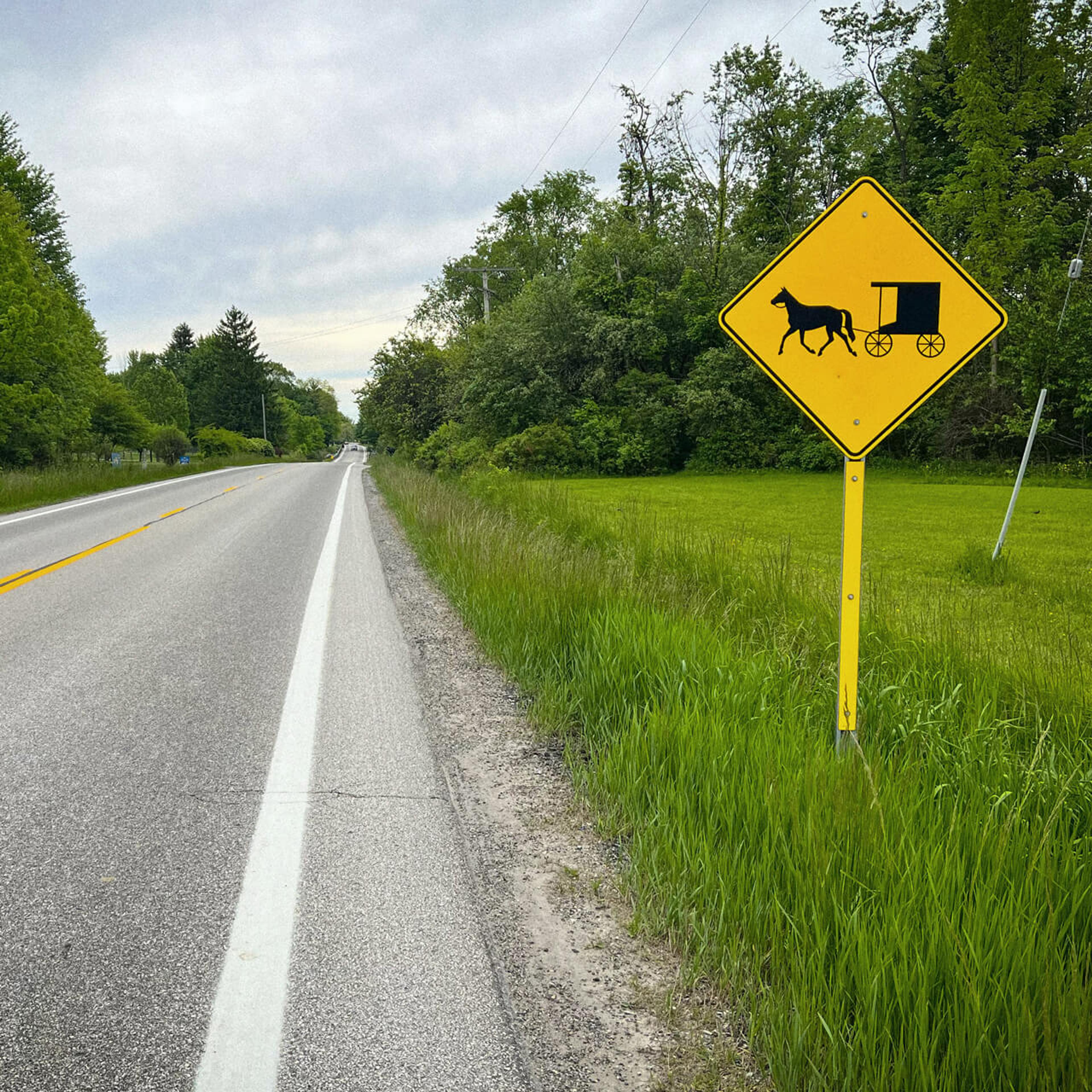A Pilgrimage for Vegan Tacos Deep in Amish Country