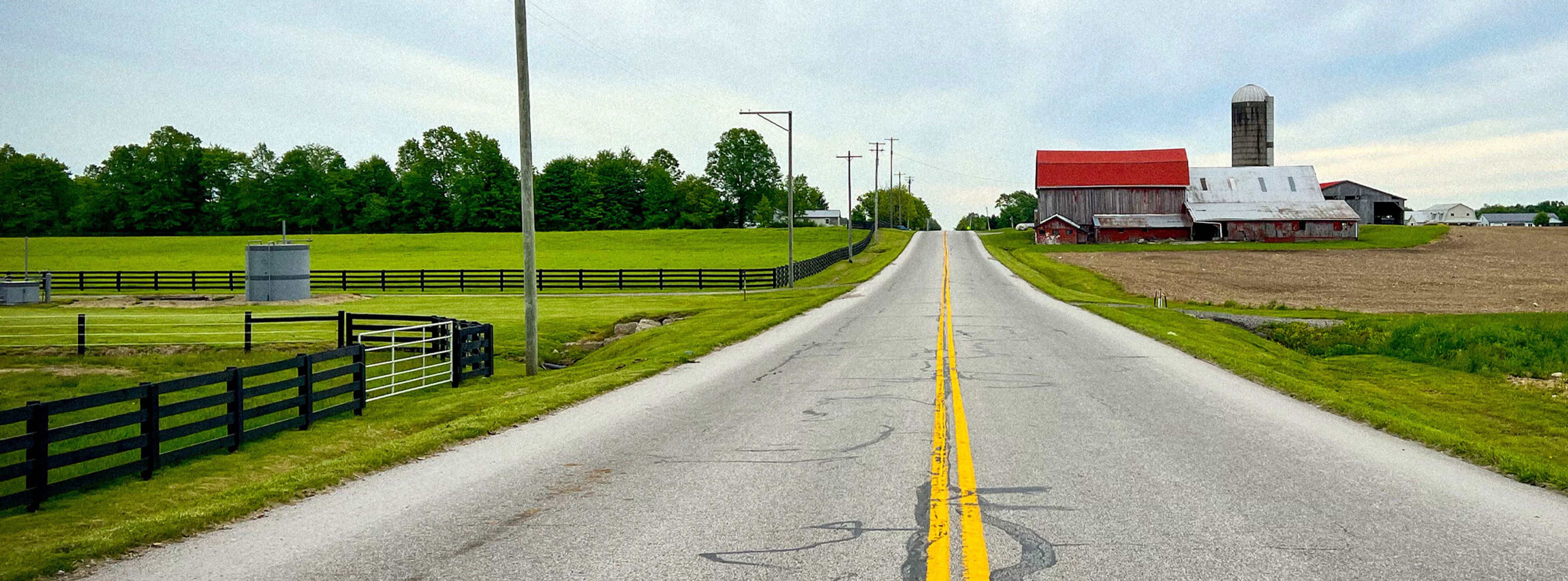 a pilgramage for vegan tacos