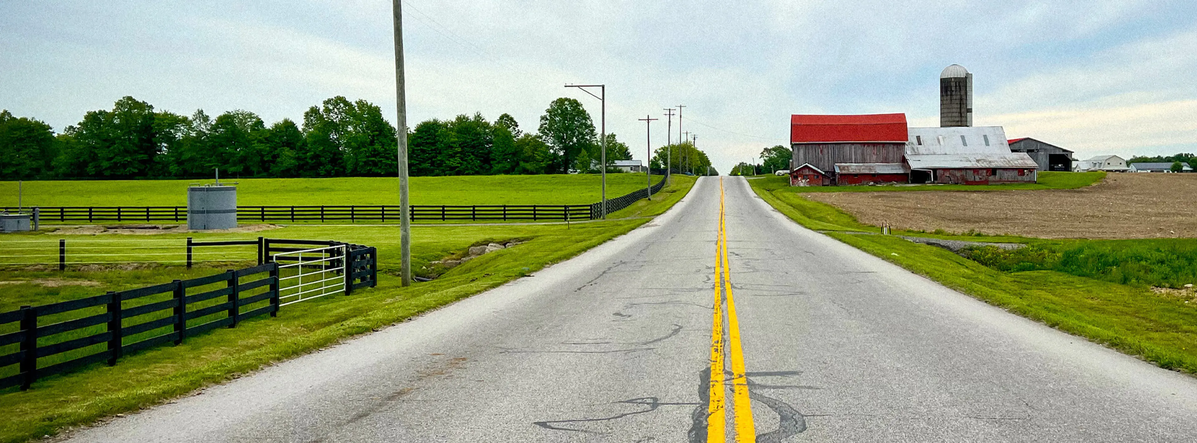 a pilgramage for vegan tacos