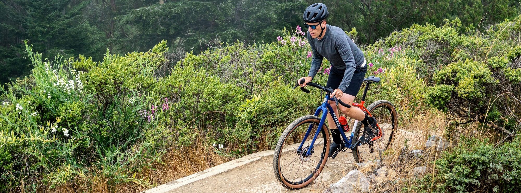 Ritchey P-29er Team Edition Frame