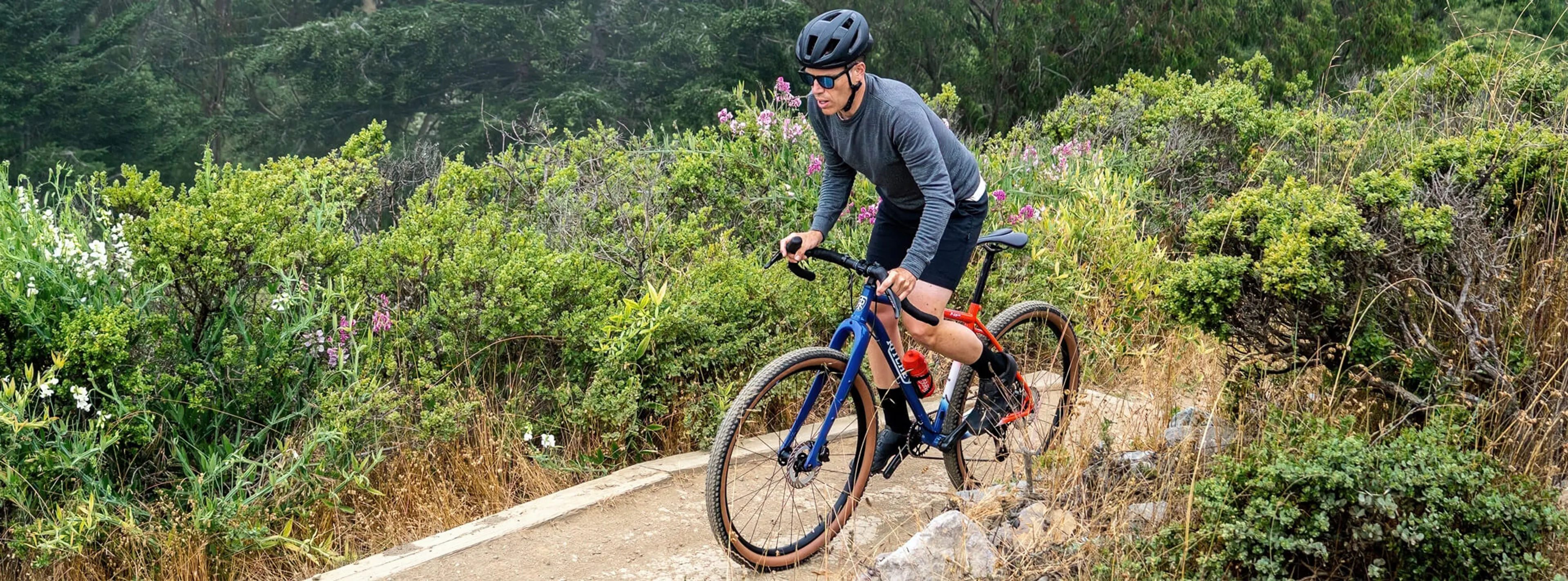 Ritchey P-29er Team Edition