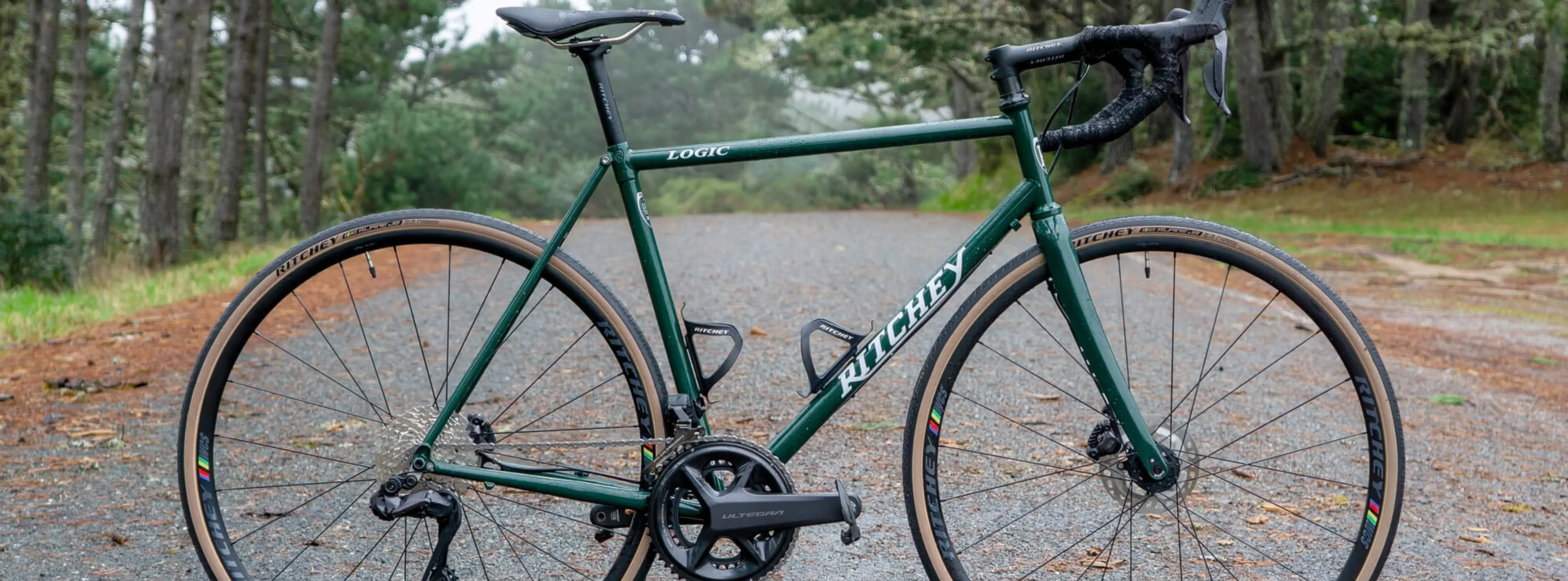 Ritchey Road Logic Disc Steel Frameset