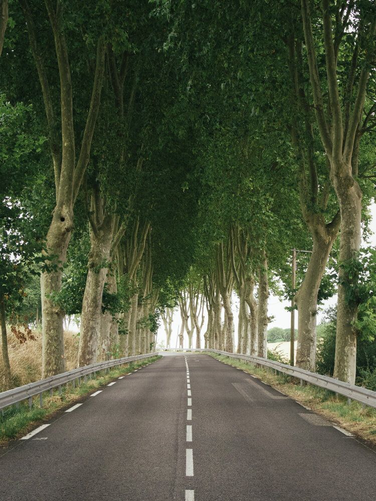 IGARE - Tour de France