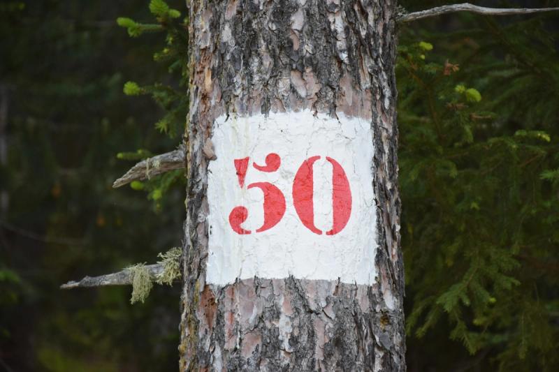 Neuanfang mit 50: Warum es nie zu spät ist, dein eigenes Business zu starten