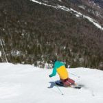 2018 Fischer Pro MTN 95 Skis