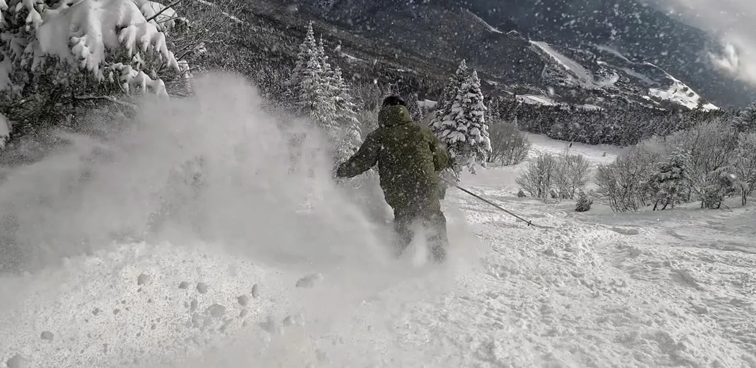 2026 Volkl Revolt 101 Ski Review - Bob Soft Snow Image