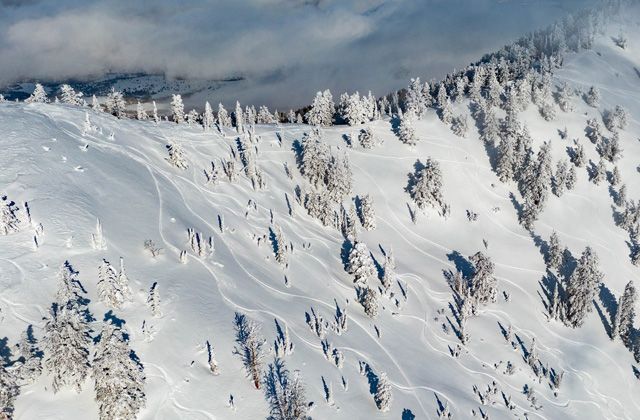 Top Five Fridays June 28, 2024: Powder Mountain Image