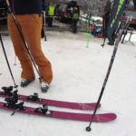 2019 DPS Uschi 94.2 Alchemist Women's Skis 6