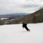 2019 Volkl RTM 86 Skis 3