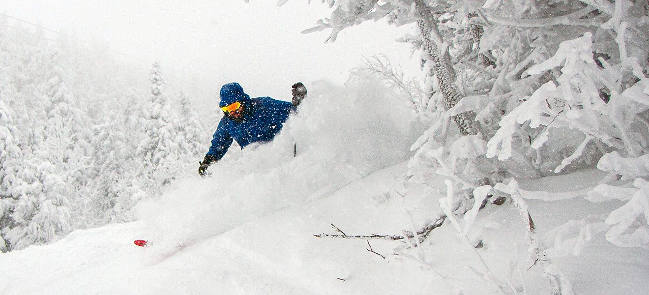 2021 Nordica Enforcer 94 Ski Review: Wide Action Image