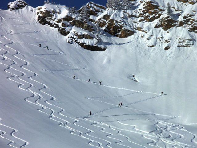 Top Five Fridays September 4, 2020: Uphill Backcountry Traffic Image
