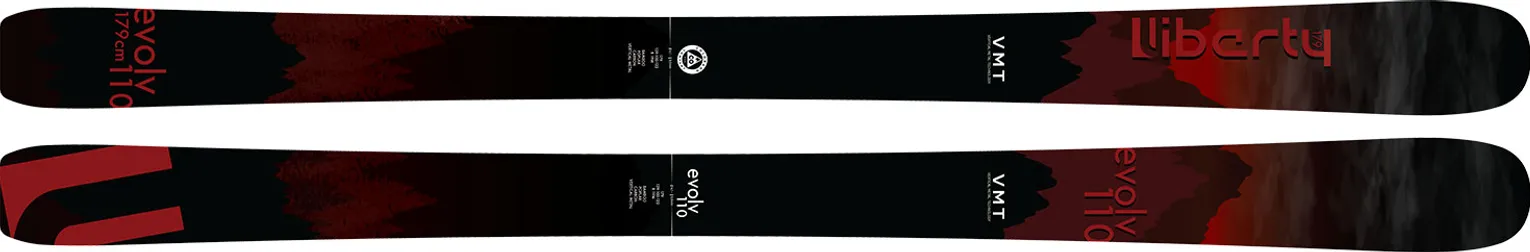 2021 LIBERTY EVOLV110