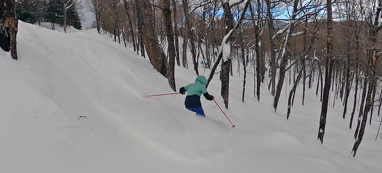 2021 Rossignol BLACKOPS Rallybird Ski Review: Wide Action Image