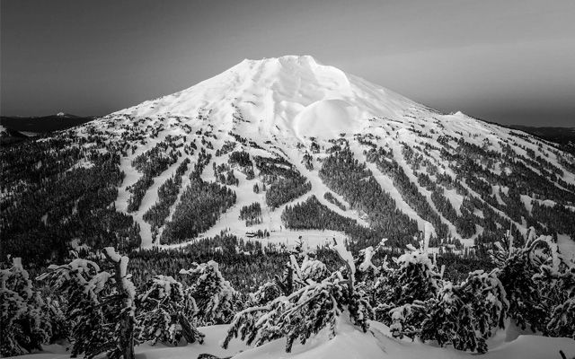 Top Five Fridays August 12, 2022: Mt. Bachelor Image