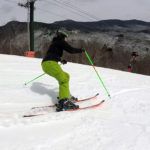 2019 Elan Ripstick 86 Women's Skis 3